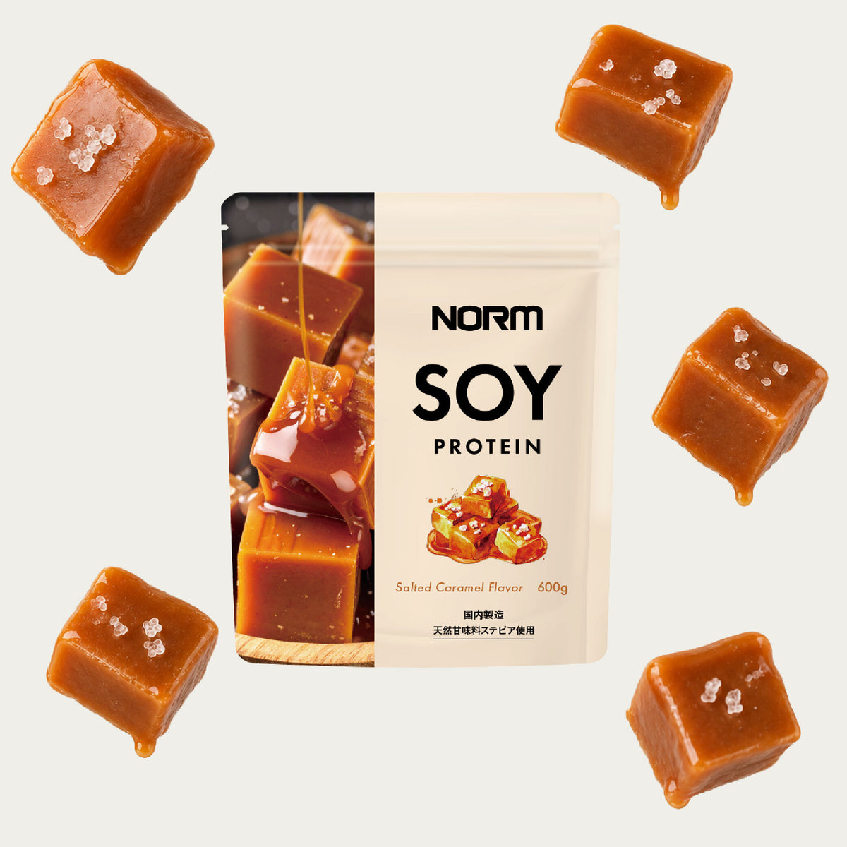 NORMソイプロテイン
