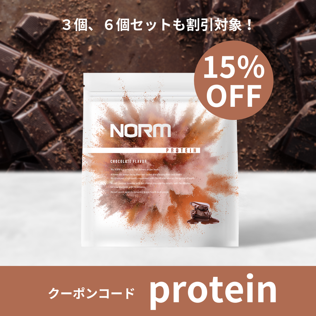 NORMノームプロテイン6kgチョコ