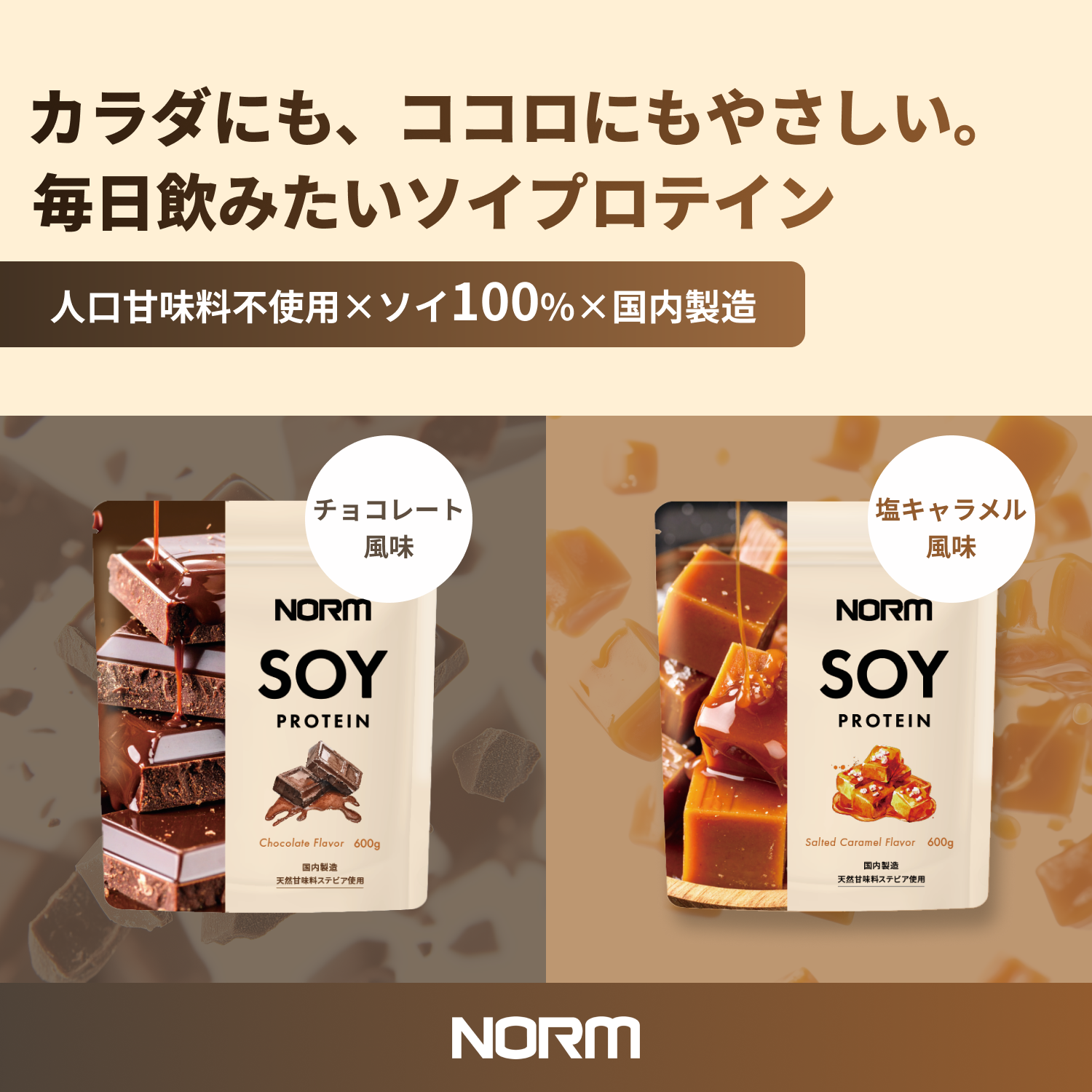 NORMソイプロテイン