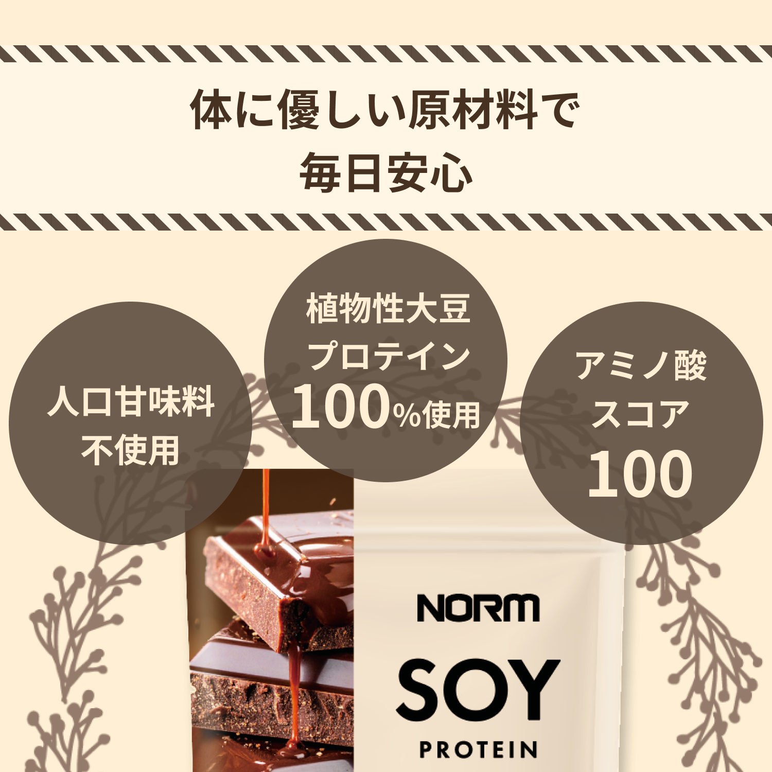 NORMソイプロテイン