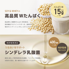 NORMビューティーハイブリッドプロテイン