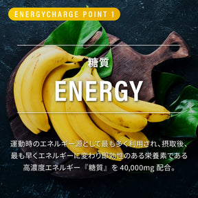 NORM Pro Energy Charge_POINT1