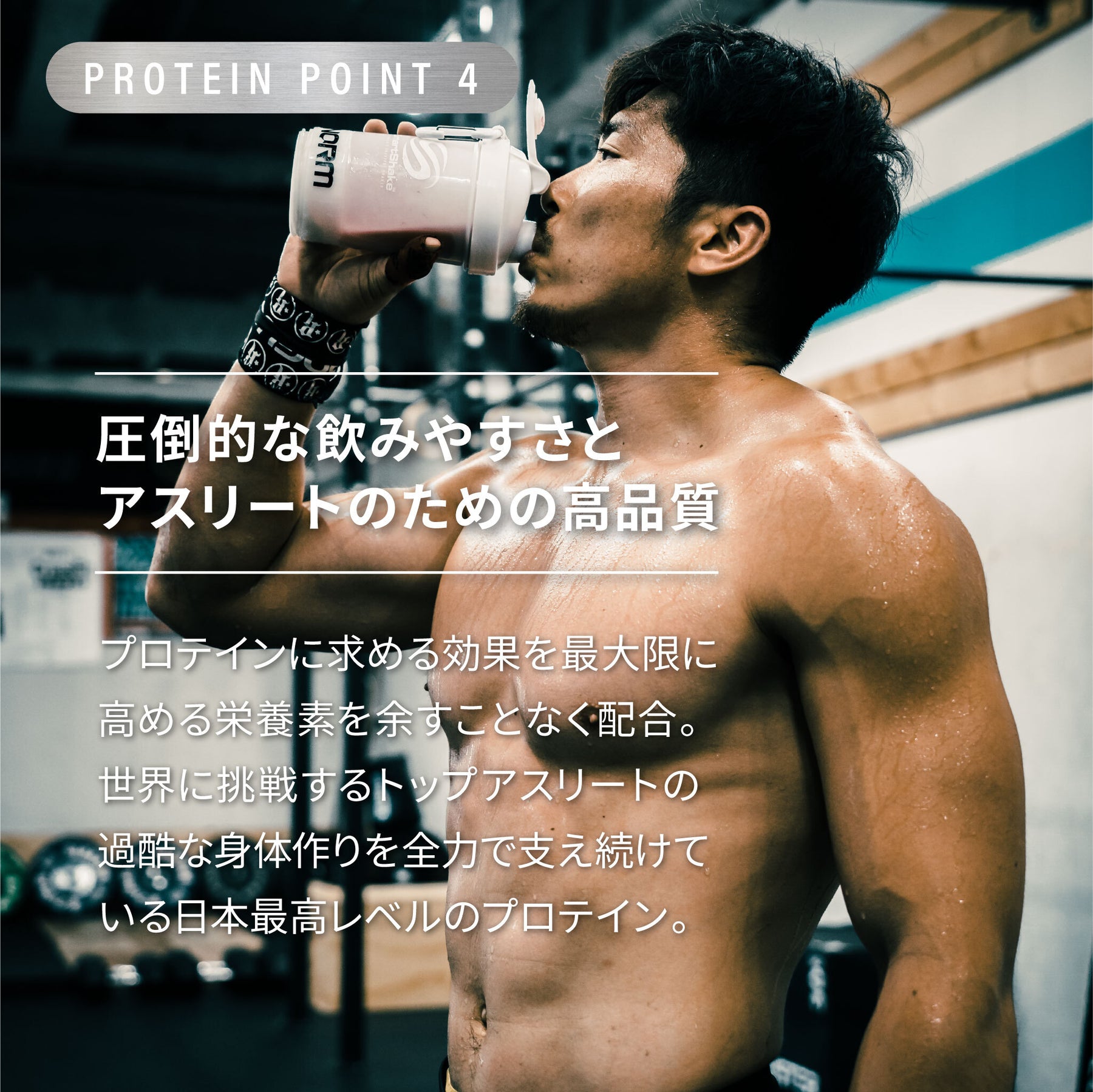 NORM Pro Protein_POINT4
