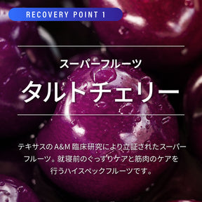 NORM PRO RECOVERY_POINT1