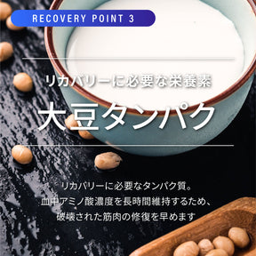 NORM PRO RECOVERY_POINT3