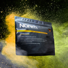 NORM Pro Energy Charge_2