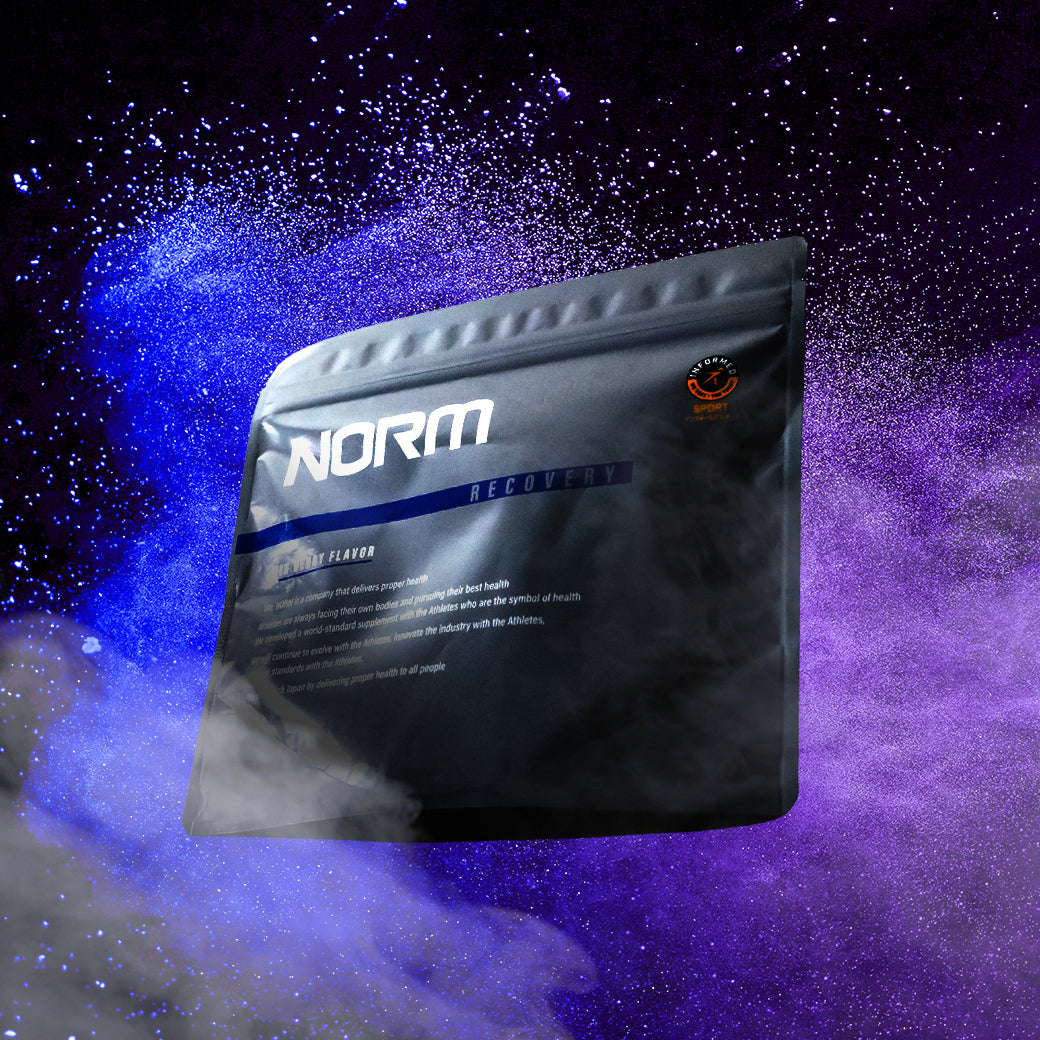 NORM PRO RECOVERY_2